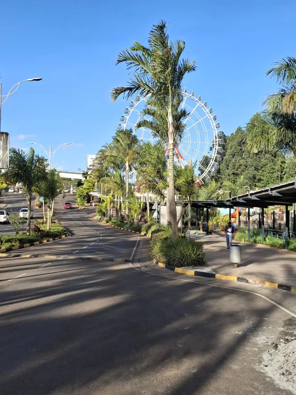 A palm-lined avenue under a bright Kenyan sky, a white ferris wheel rising behind the trees